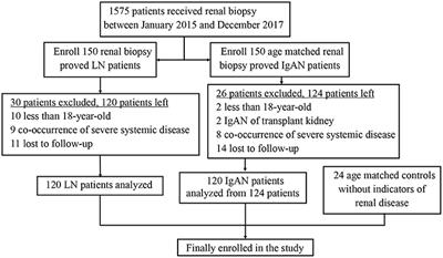 C4d as a Screening Tool and an Independent Predictor of Clinical Outcomes in Lupus Nephritis and IgA Nephropathy